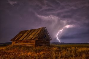 shelter paddock storm