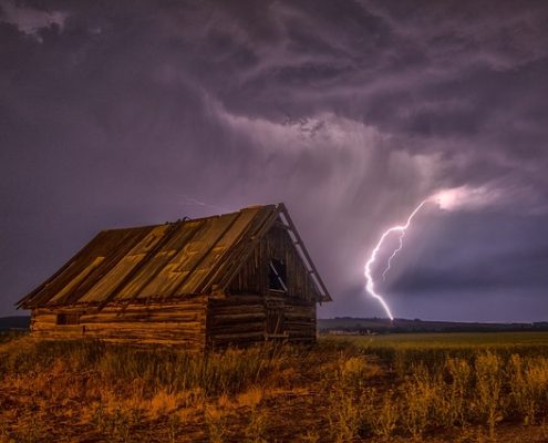 shelter paddock storm